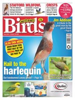 Cage & Aviary Birds